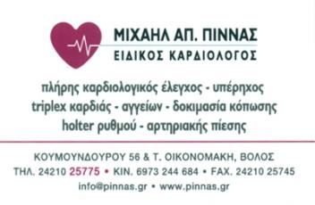 pinnas_mixail.jpg